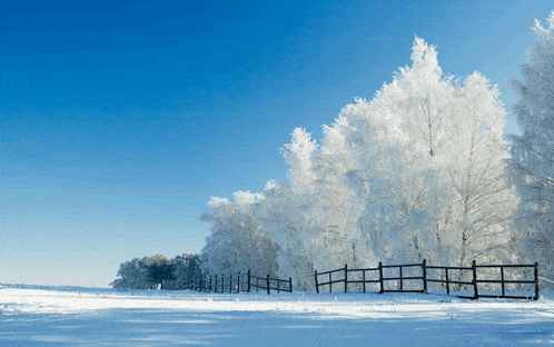 a snowy field with a fence in the foreground