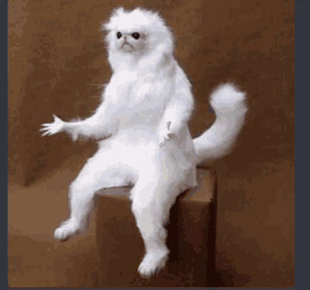 a stuffed white cat is sitting on a box with its paws outstretched