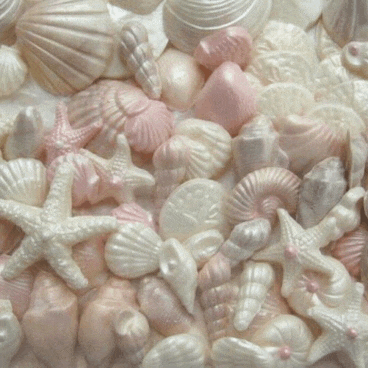 a pile of pink and white seashells including a starfish