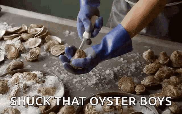 a person wearing blue gloves is cutting an oyster with the words " shuck that oyster boys " above them