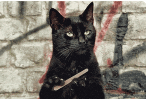 a black cat holding a nail file in its paws