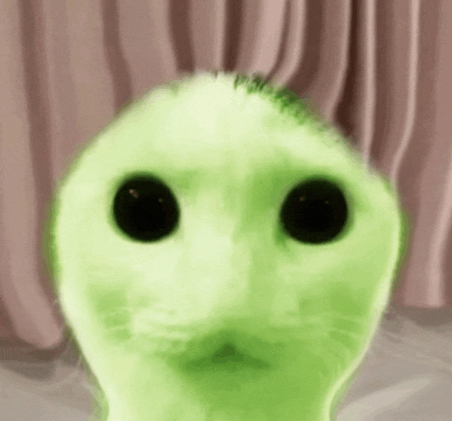 a close up of a green cat with black eyes and a pink curtain in the background .