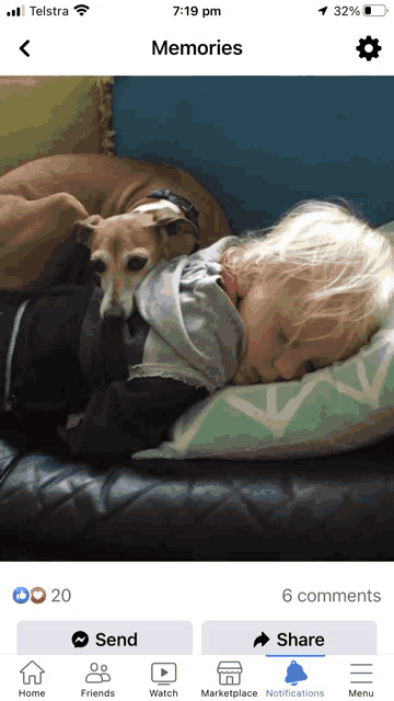 a screenshot of a child sleeping with a dog on a couch