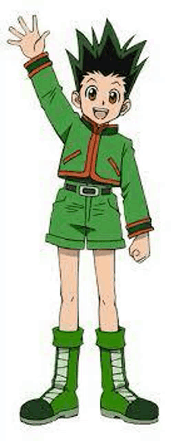 gon from hunter x hunter is wearing a green jacket and green shorts .