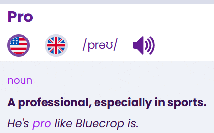 a screen shot of a dictionary with the word pro at the top