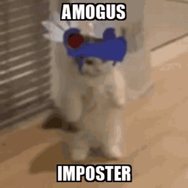 a white cat is wearing a blue hat and sunglasses and standing on its hind legs .