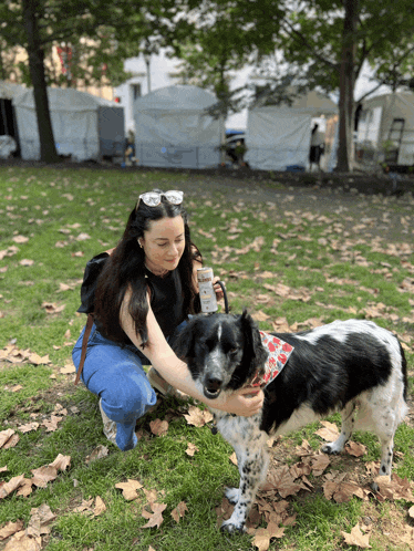 a woman petting a black and white dog with a bandana on