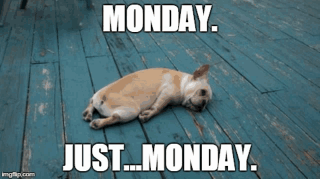 a dog is laying on a wooden deck with the caption monday just monday .