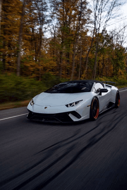 a white lamborghini is driving down a road in the woods