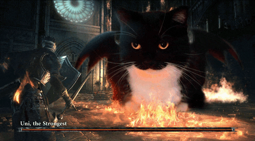 a video game screen shows a knight fighting a black cat named uni