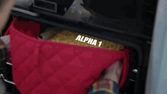 a red oven mitt with the word alpha 1 on it