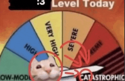 a cat is standing in front of a spinning wheel with a very high level today .