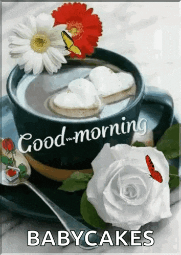 a picture of a cup of coffee with flowers and butterflies and the words good morning babycakes on it
