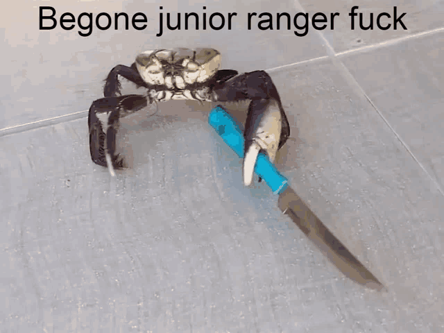 a crab holding a knife with the words begone junior ranger fuck on the bottom