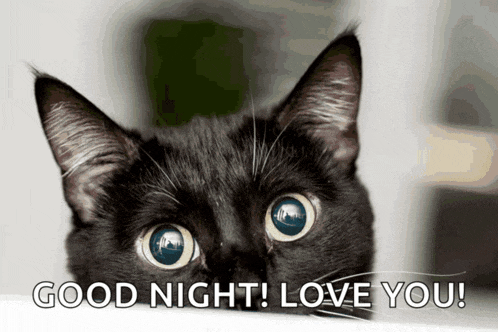 a picture of a black cat with the words good night love you below it