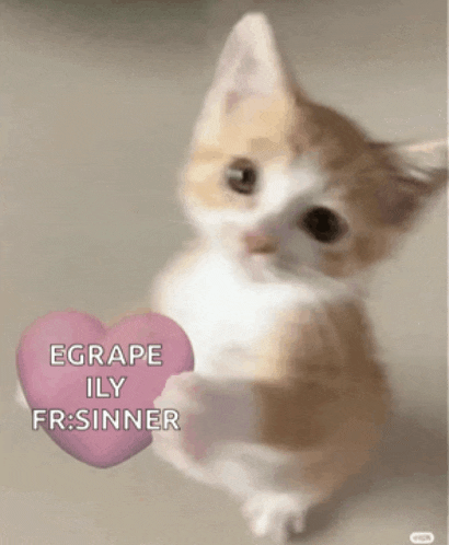 a kitten holding a pink heart with the words egrape ily fr sinner written on it