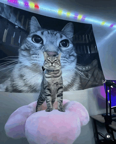 a cat is standing on a pink flower in front of a large cat portrait