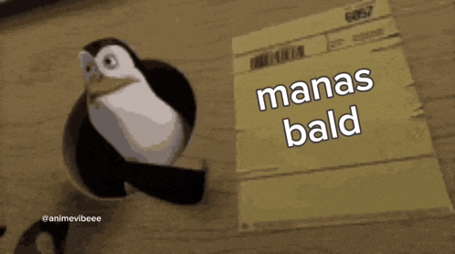a penguin is holding a piece of paper that says manas bald on it