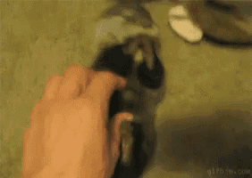 a close up of a person 's hand petting a cat