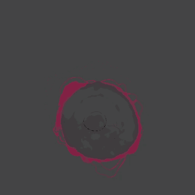 a drawing of a black circle with a red border