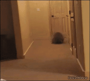 a picture of a hallway with lawebloca on the bottom right