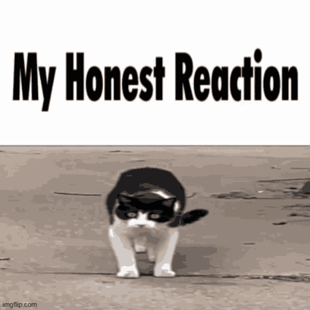 a black and white cat wearing headphones is walking down a street .