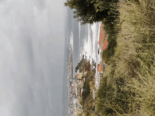 a view of a city and the ocean from a hill