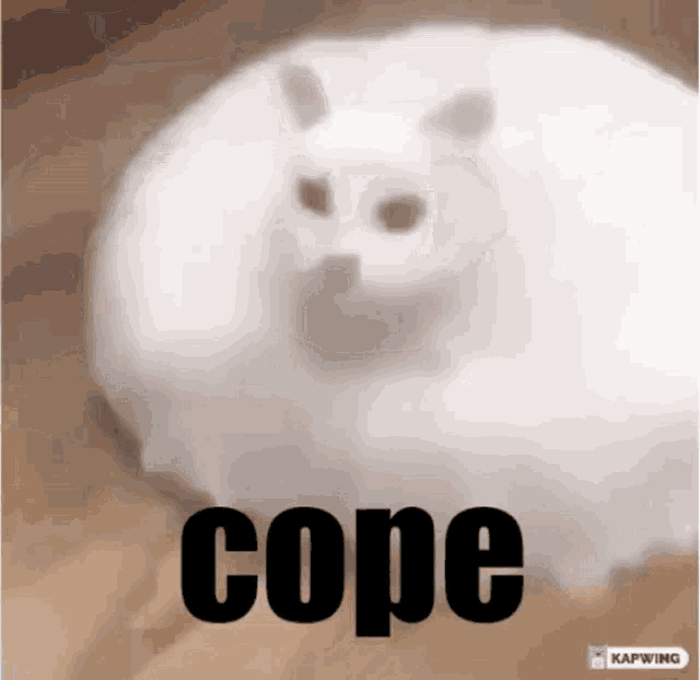 a picture of a white cat with the word cope written below it