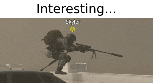 a soldier with a sniper rifle and the name skyler on the bottom right