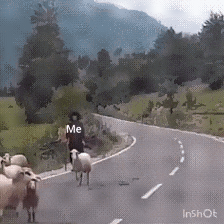 a man riding a bike with a sheep herd on the side of the road with the word me written on the bottom