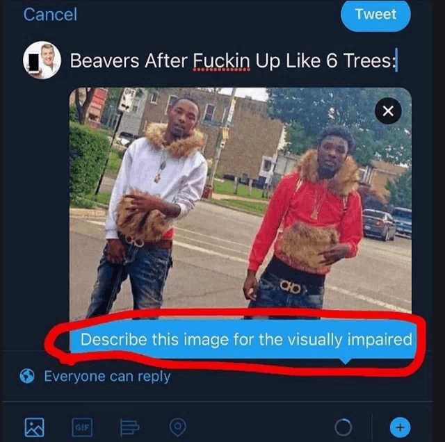 a twitter post asking people to describe the image