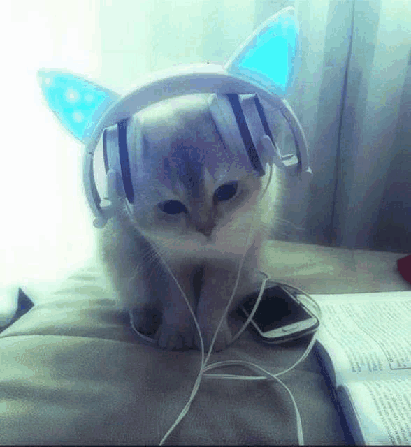 a kitten wearing headphones with light up ears is sitting on a bed next to a cell phone and a book .
