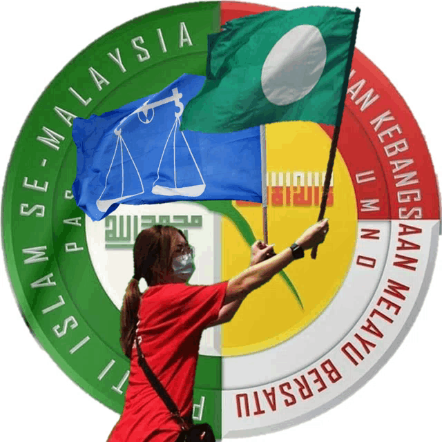 a woman wearing a mask holds a flag in front of a circle that says malaysia