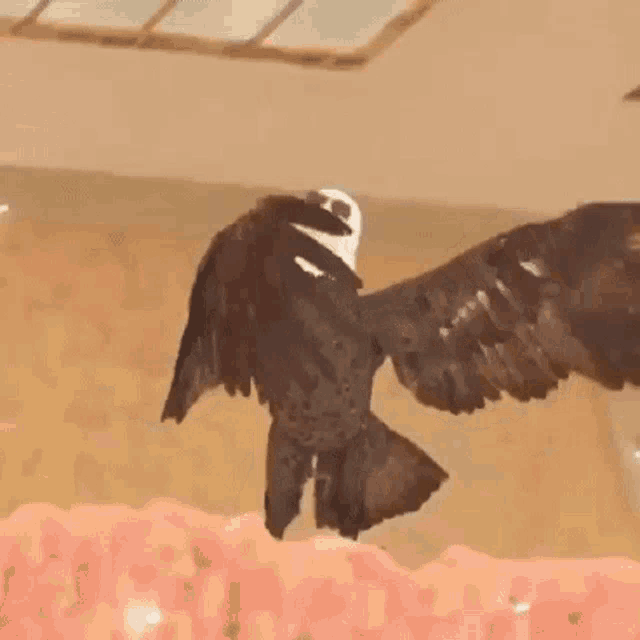 a bald eagle with its wings outstretched is standing on a pile of flowers .