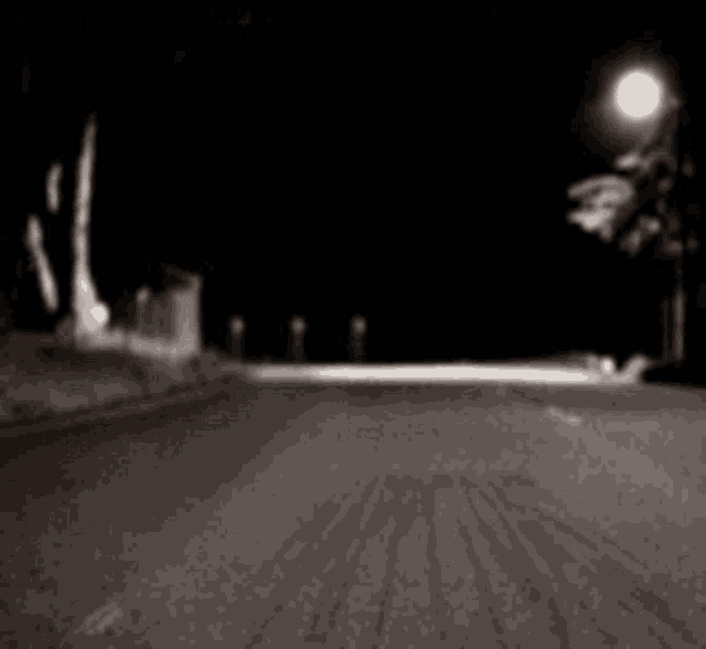 a raccoon is walking down a street at night