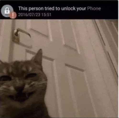 a cat is smiling in front of a door with a lock on it