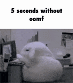 a stuffed rabbit is sitting on a desk in front of a computer and says `` 5 seconds without oomf '' .