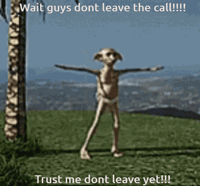a picture of a dog with a caption that says " wait guys dont leave the call trust me dont leave yet !!! "
