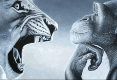 a lion and a chimpanzee looking at each other