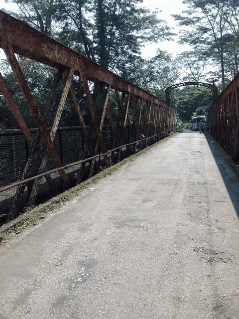 a bridge over a road with trees on the side