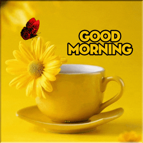 a yellow cup of coffee with a yellow flower and a butterfly with the words good morning