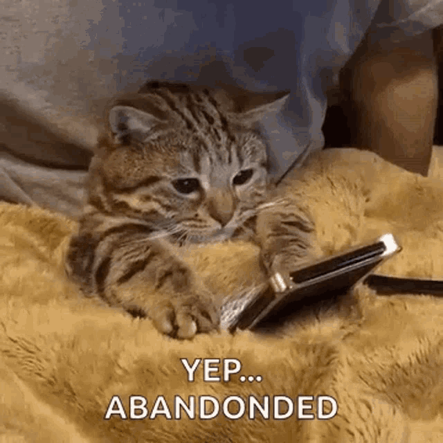 a cat is laying on a blanket looking at a cell phone and saying yep abandoned .