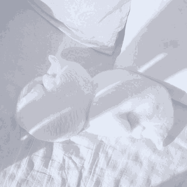 two white cats are laying on a bed with white sheets