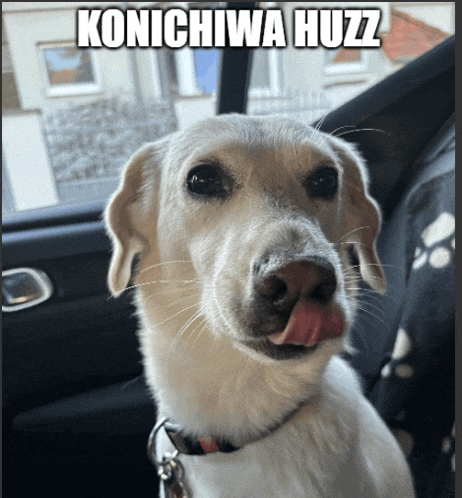 a picture of a dog with a caption that says konichiwa huzz