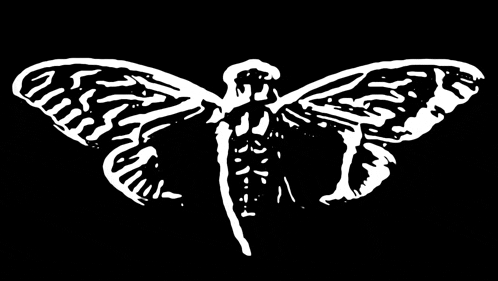 a black and white drawing of a moth on a black background