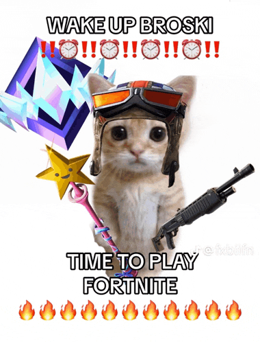 a cat wearing a helmet and goggles with the words wake up broski time to play fortnite on the bottom