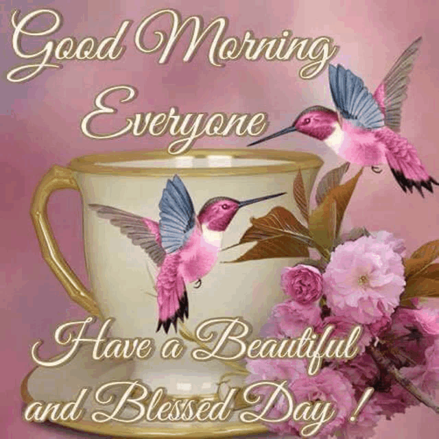 a good morning everyone i have a beautiful and blessed day .