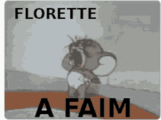 a picture of a cartoon character with the name florette on it