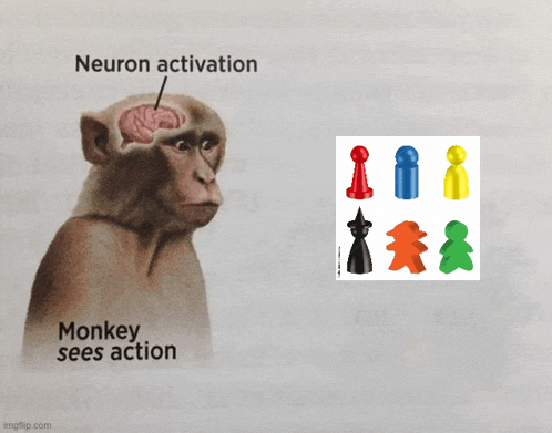 a picture of a monkey with the words " neuron activation monkey sees action " below it