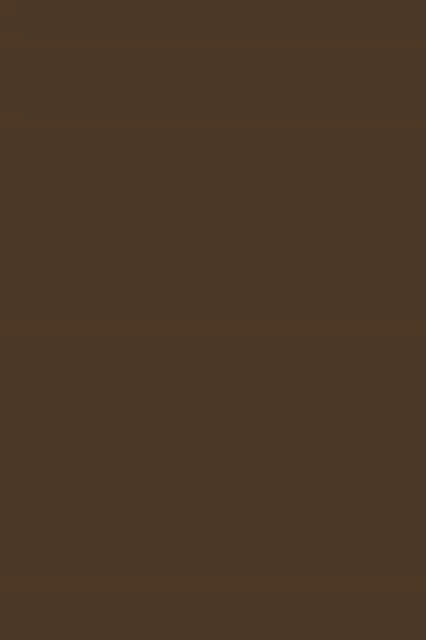 a close up of a brown background that looks like a plain brown background .